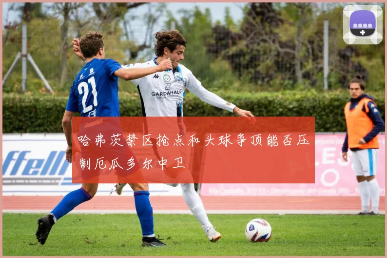 哈弗茨禁区抢点和头球争顶能否压制厄瓜多尔中卫