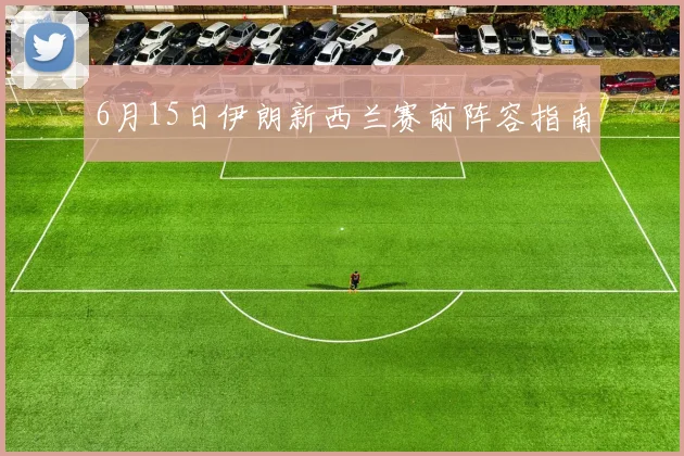 6月15日伊朗新西兰赛前阵容指南
