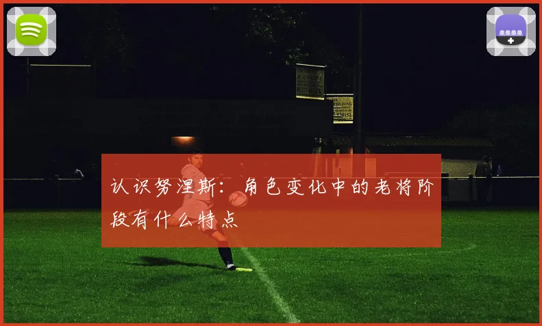 认识努涅斯：角色变化中的老将阶段有什么特点