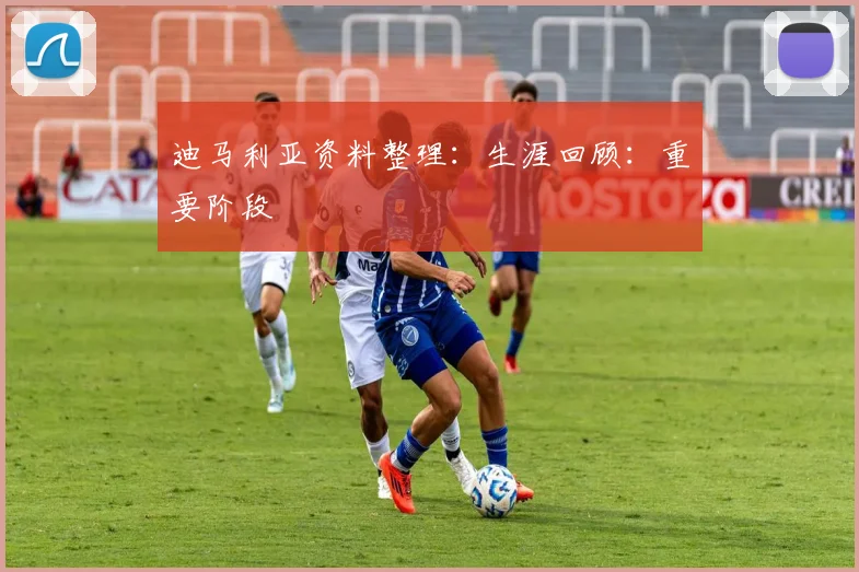 迪马利亚资料整理：生涯回顾：重要阶段