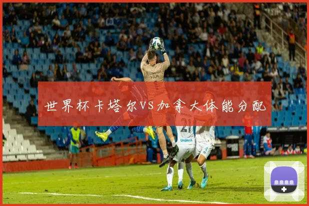 世界杯卡塔尔vs加拿大体能分配