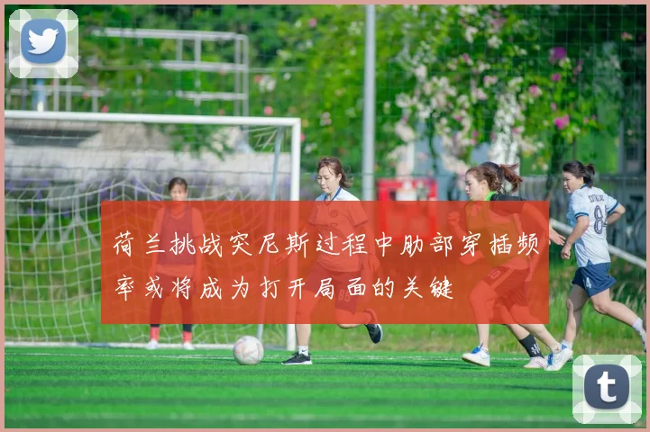 荷兰挑战突尼斯过程中肋部穿插频率或将成为打开局面的关键